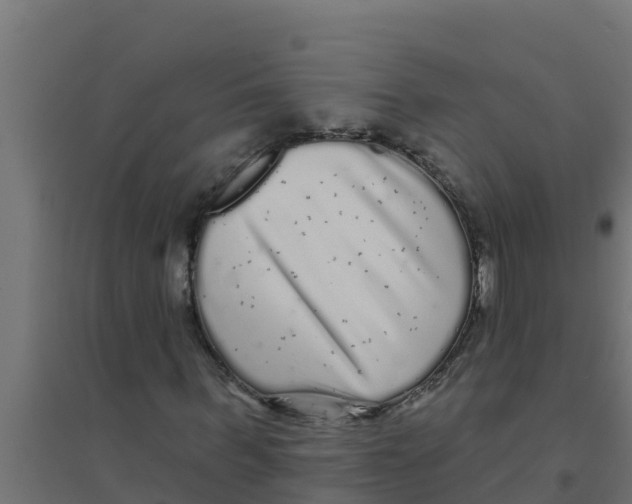 X0000094190963200711241612