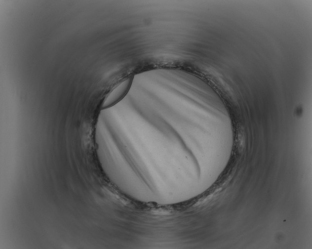 X0000094190964200711241612