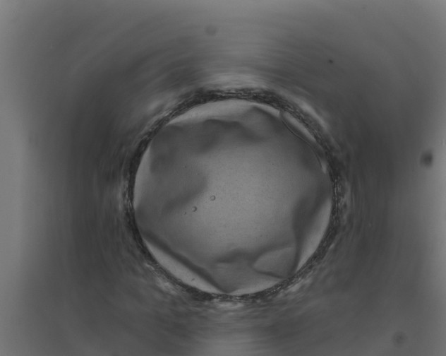 X0000094190965200711241612