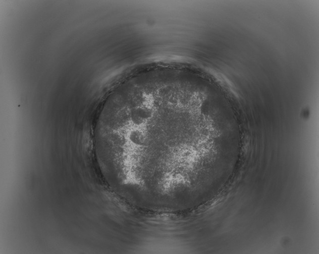 X0000094190966200711241612