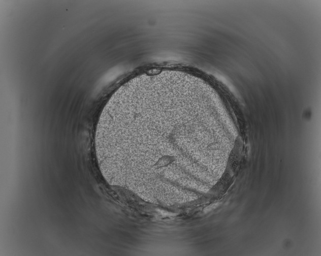 X0000094190967200711241611