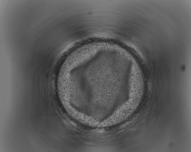 X0000094190968200711241611