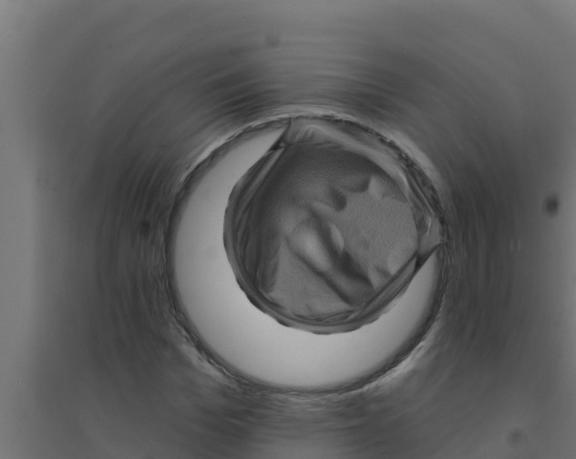 X0000094190969200711241611