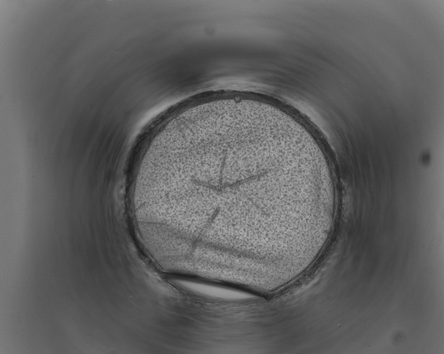 X0000094190971200711241611