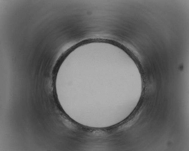 X0000094190974200711241611