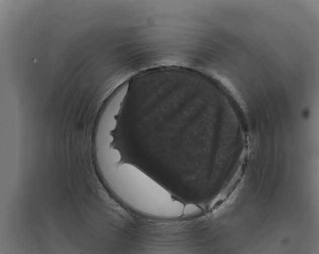 X0000094190977200711241611