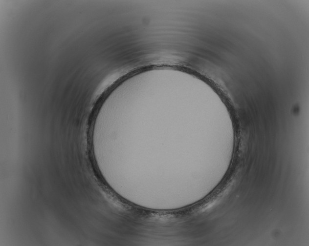 X0000094190978200711241611