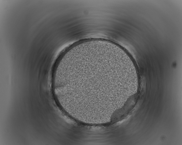 X0000094190979200711241611