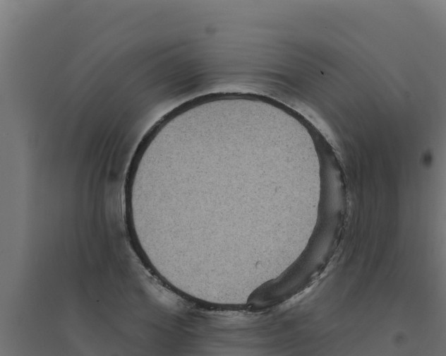 X0000094190980200711241611