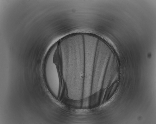 X0000094190981200711241611