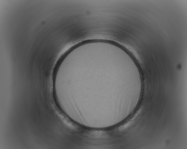 X0000094190982200711241611