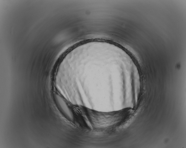 X0000094190983200711241611