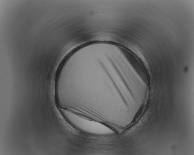 X0000094190984200711241611