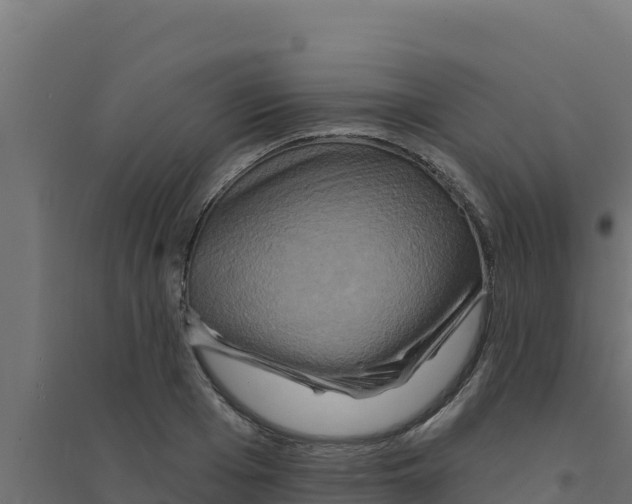 X0000094190985200711241611