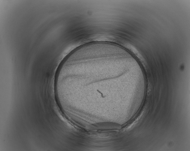 X0000094190986200711241611