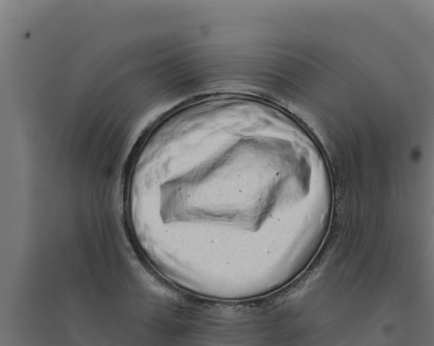 X0000094190987200711241611