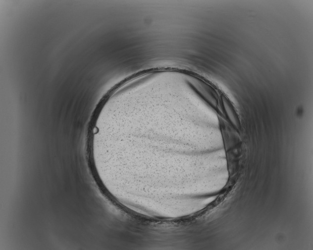 X0000094190991200711241611