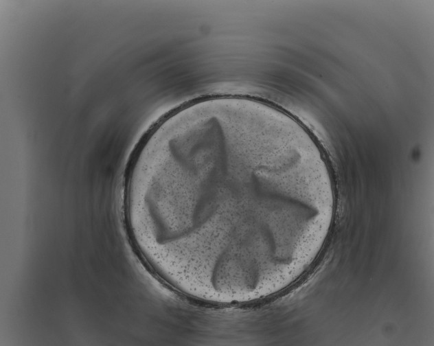 X0000094190992200711241611