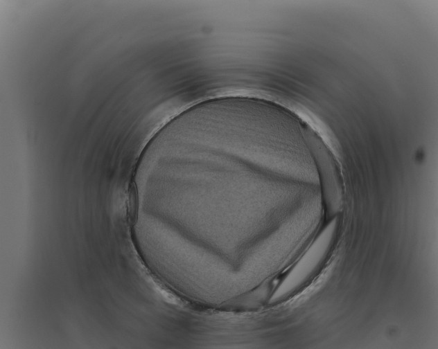 X0000094190993200711241611