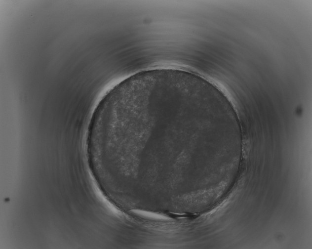 X0000094190995200711241611