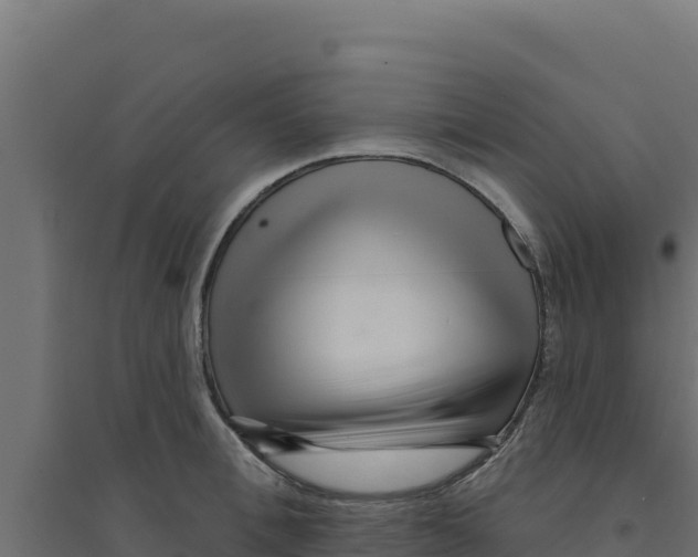 X0000094190996200711241611