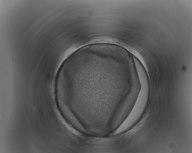 X0000094190997200711241611