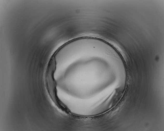 X0000094190999200711241611