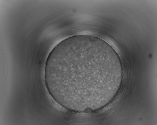 X0000094191000200711241611