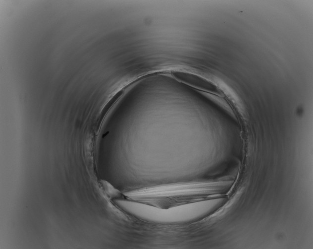 X0000094191001200711241611