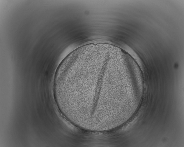 X0000094191002200711241611