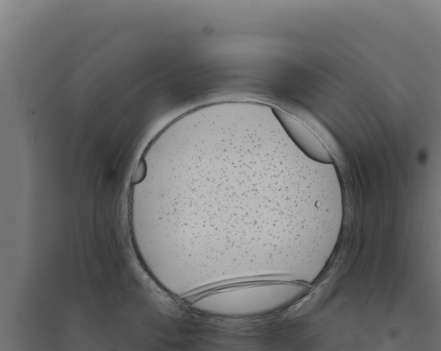 X0000094191004200711241611