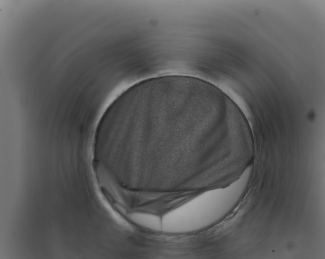 X0000094191005200711241611