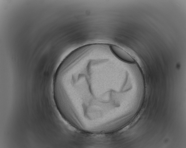 X0000094191006200711241611