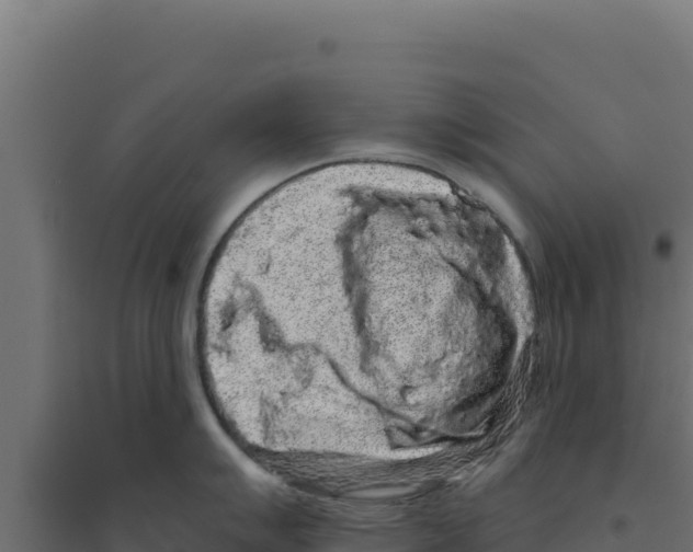 X0000094191007200711241611