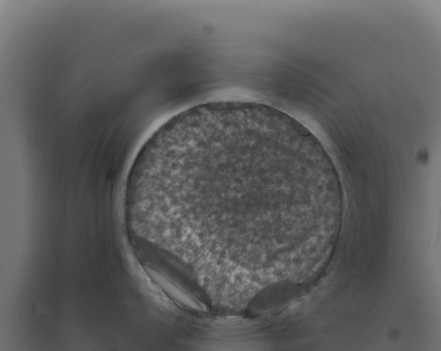 X0000094191008200711241611