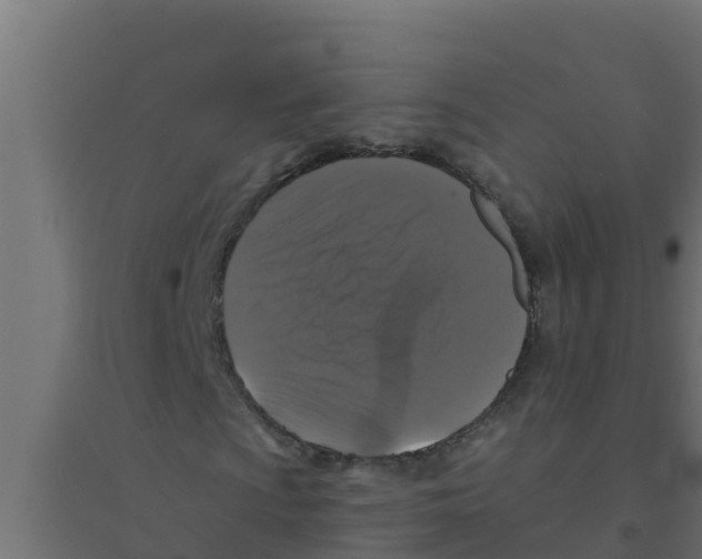 X0000094191009200711241610