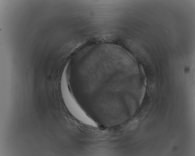 X0000094191010200711241610