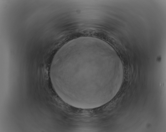 X0000094191013200711241610