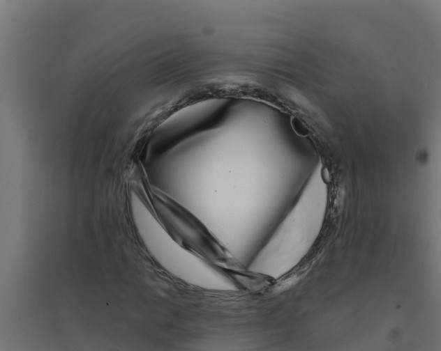 X0000094191014200711241610