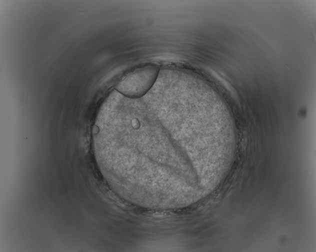 X0000094191015200711241610