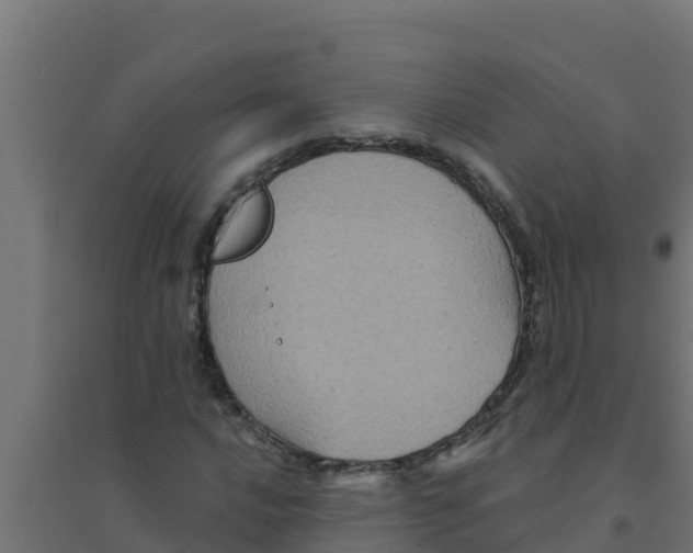 X0000094191016200711241610