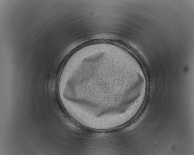 X0000094191017200711241610