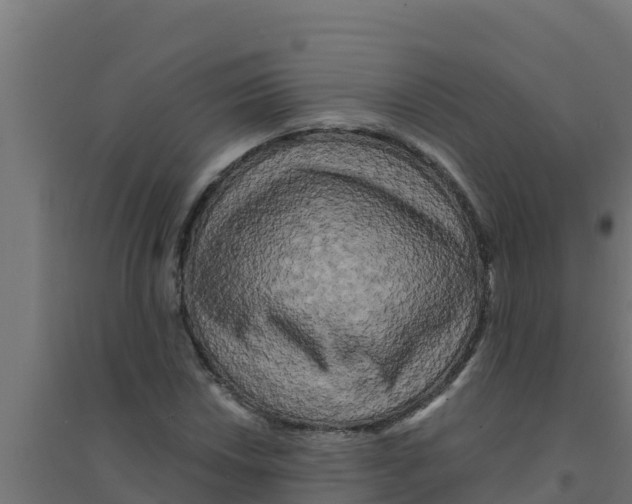 X0000094191018200711241610