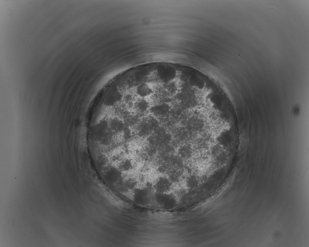 X0000094191019200711241610