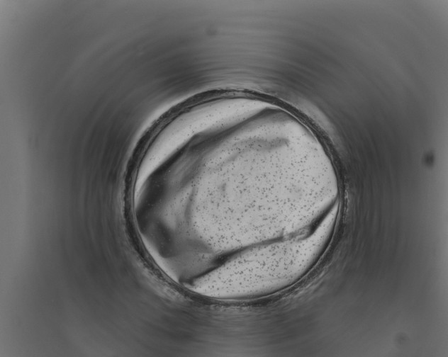 X0000094191020200711241610