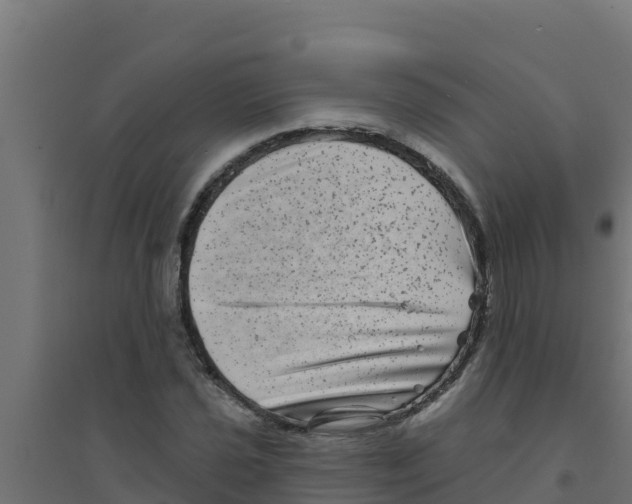 X0000094191021200711241610