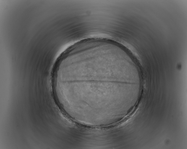 X0000094191022200711241610