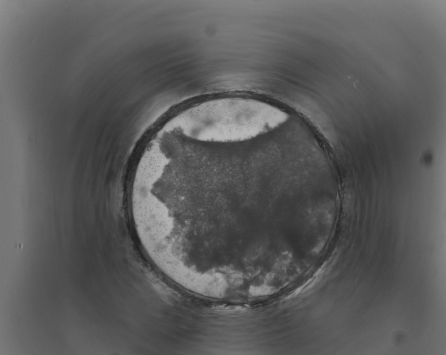 X0000094191023200711241610