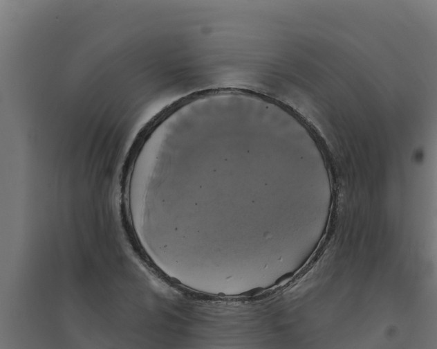 X0000094191024200711241610