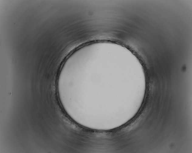 X0000094191025200711241610